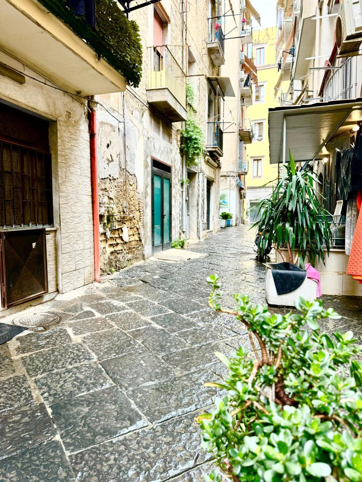 Апартаменты Vesuvius House Неаполь Экстерьер фото
